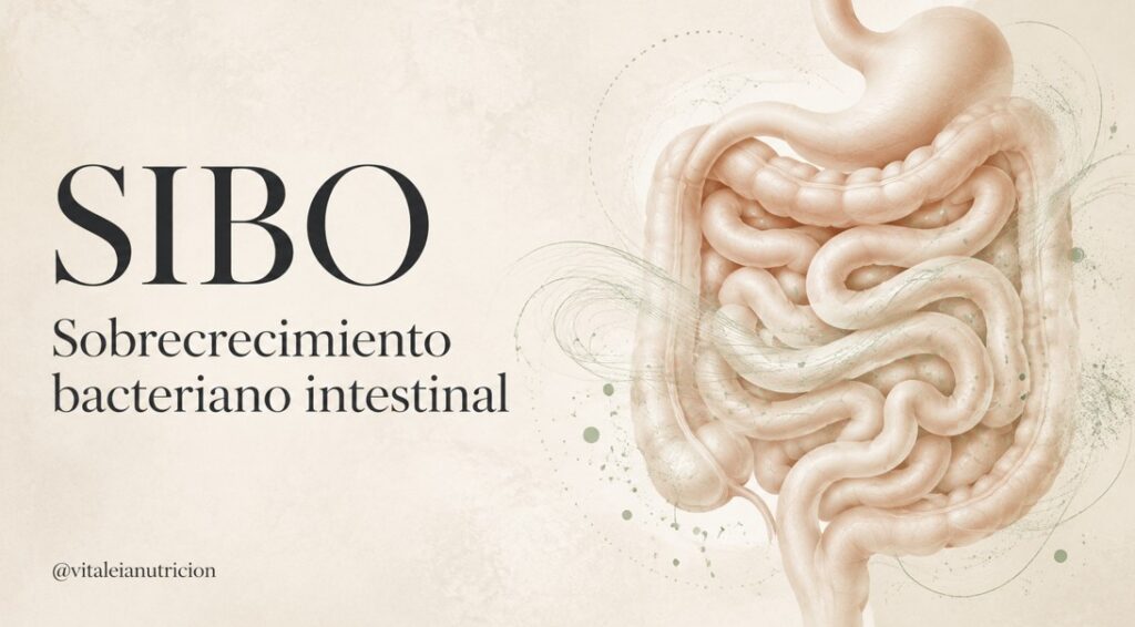 imagen sibo